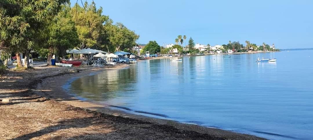 Xanthi'S Sea Front Villas Flámbouras エクステリア 写真